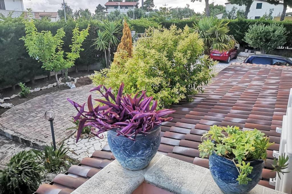 Villa Arenella Vieste Luaran gambar